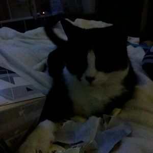 Meet your Posher, Desirae